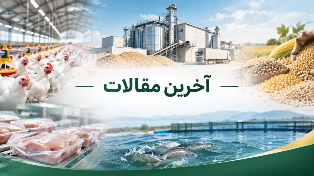 خبر